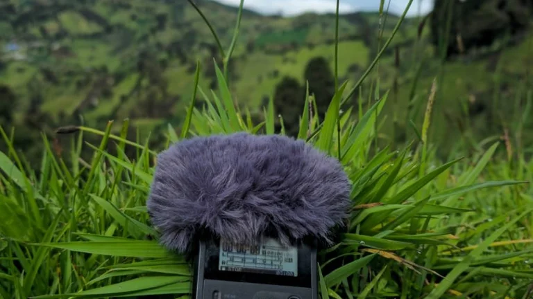 a field recorder laying on grass