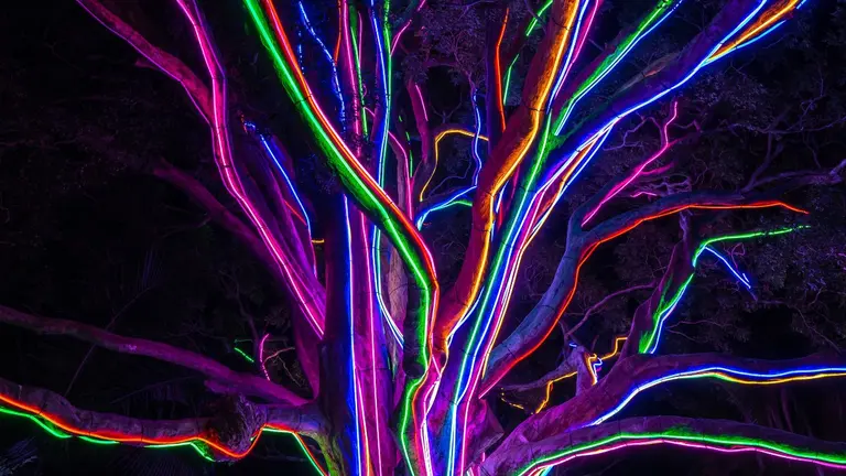 A tree made of neon lights of different colours