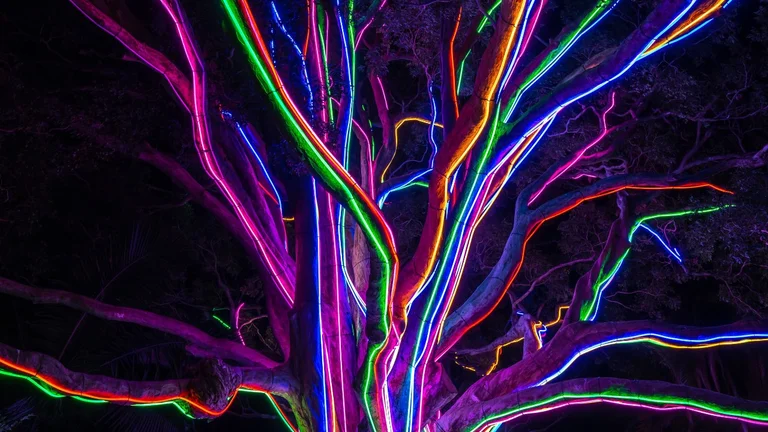 A tree made of neon lights of different colours