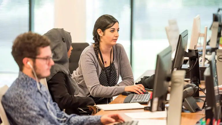 Three people sitting down in an office in front of their computers