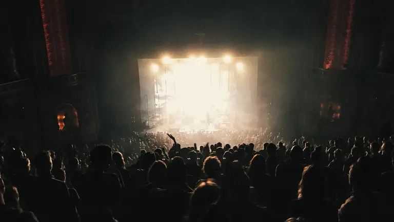 an audience at a concert