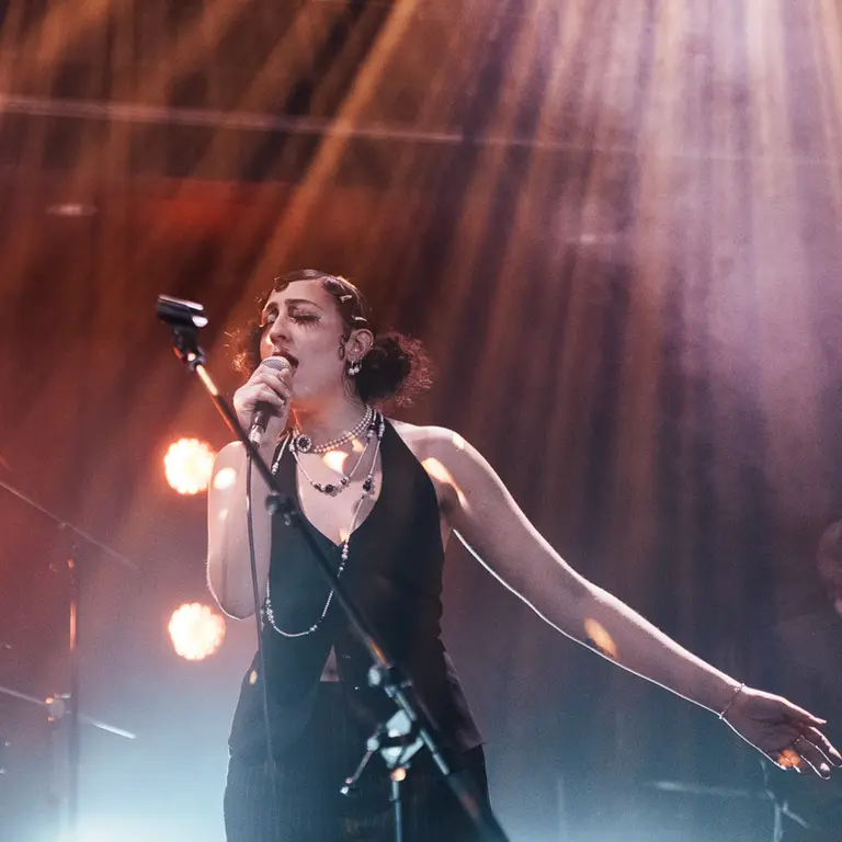 A singer passionately performs on stage, with a microphone in hand under warm, dramatic lighting. The scene conveys a vibrant, emotional ambiance.